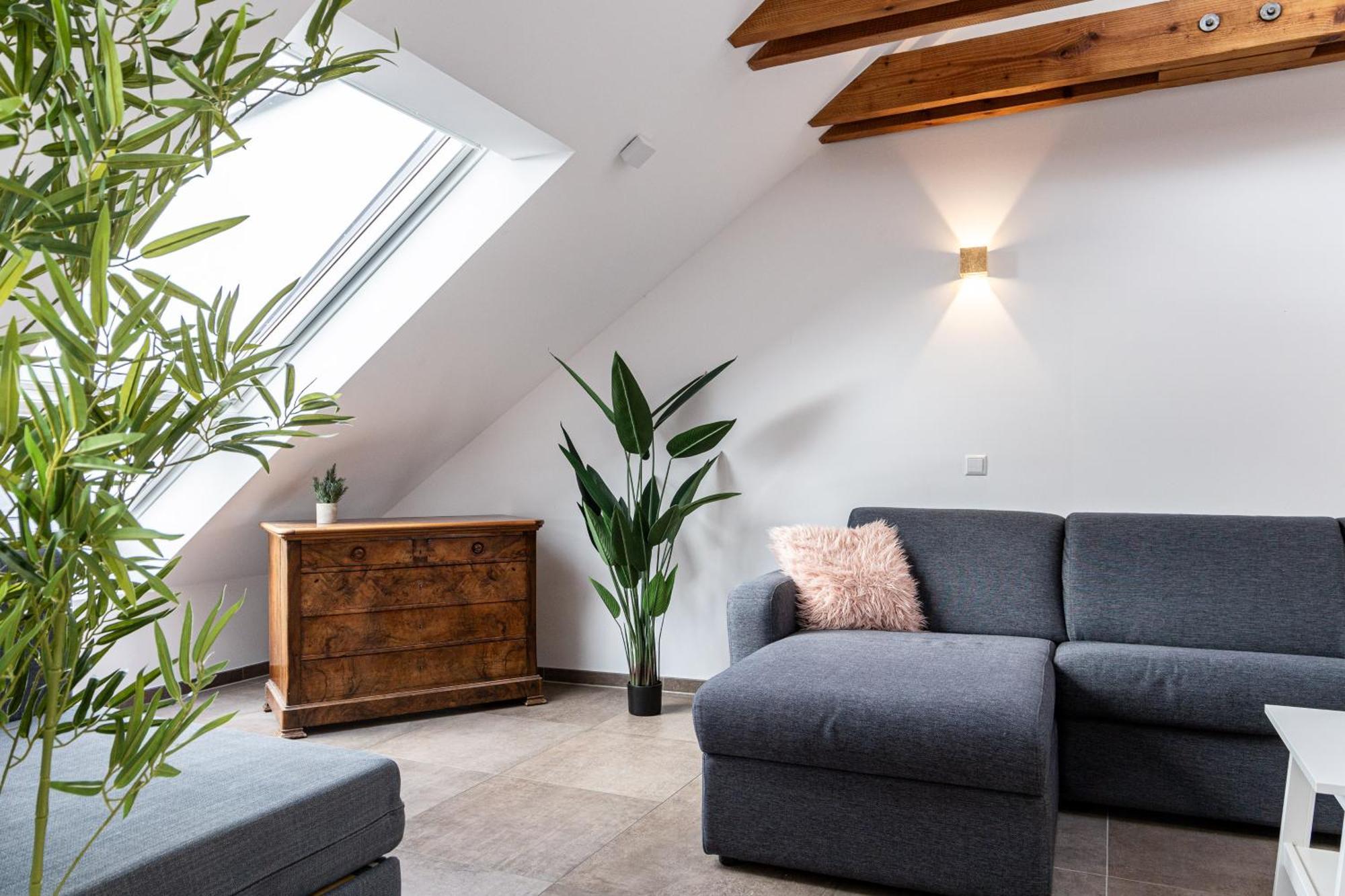 Living Timeless - Apartments Zum Roten Lamm- Bad Krozingen Ngoại thất bức ảnh